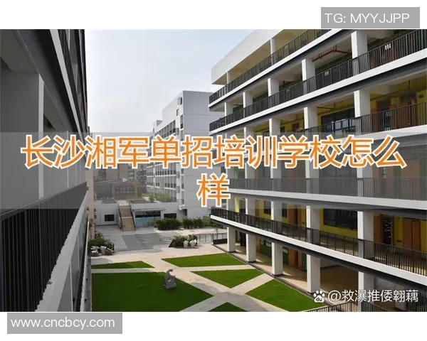 高效招生!体育培训机构助您实现快速提升技能